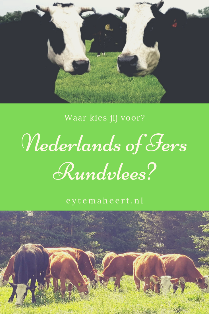 Nederlands of Iers rundvlees